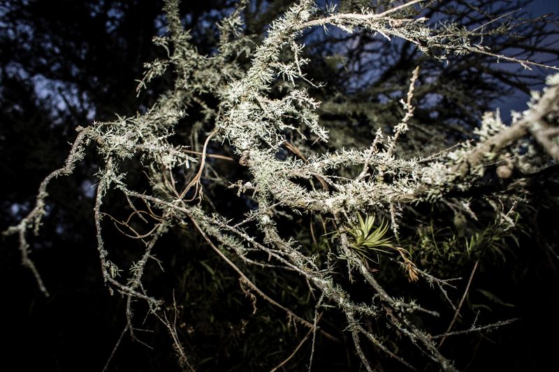 © Sarah Pabst - Image from the Reclusive photography project