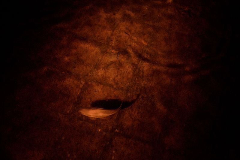 © Sarah Pabst - Image from the Reclusive photography project