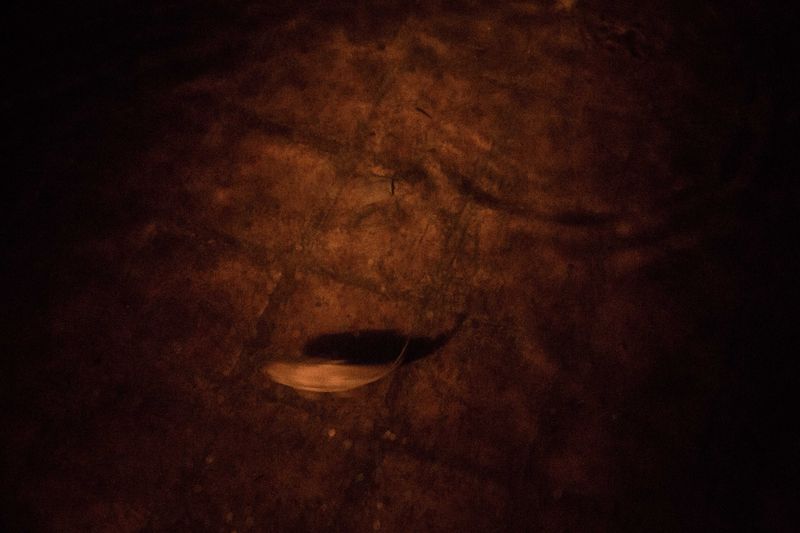 © Sarah Pabst - Image from the Reclusive photography project