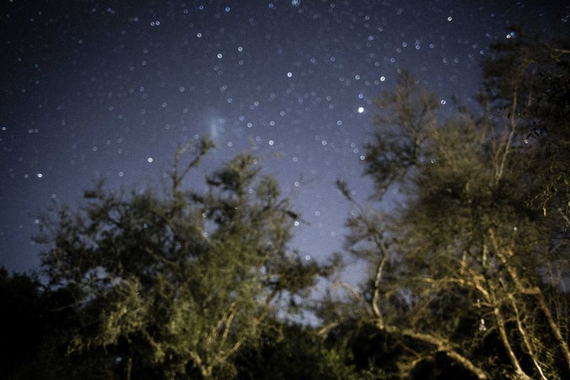 © Sarah Pabst - Image from the Reclusive photography project