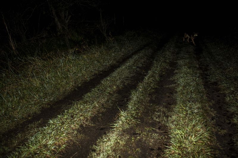 © Sarah Pabst - Image from the Reclusive photography project