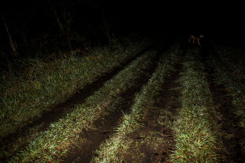 © Sarah Pabst - Image from the Reclusive photography project