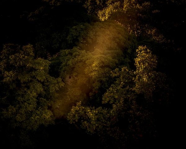 © Sarah Pabst - Image from the Morning Song photography project