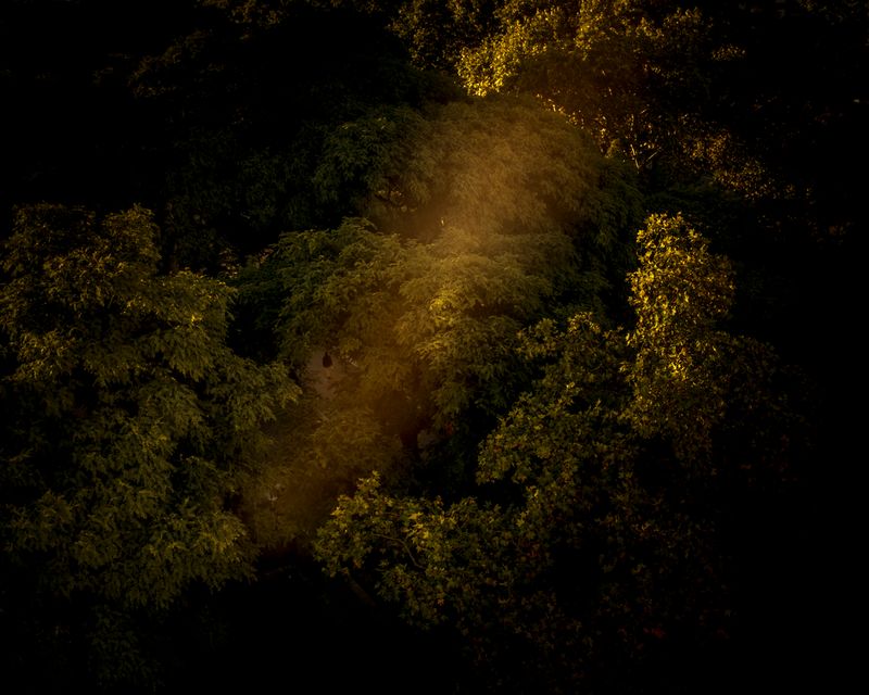 © Sarah Pabst - Image from the Morning Song photography project