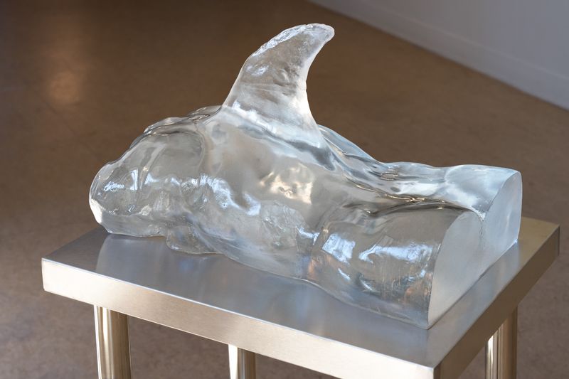 © Claudia Amatruda - Image from the Hypersea photography project