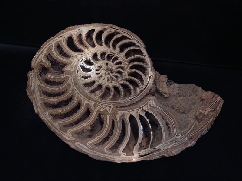 © Claudia Amatruda - Image from the Hypersea photography project