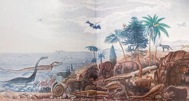 © Claudia Amatruda - Image from the Hypersea photography project