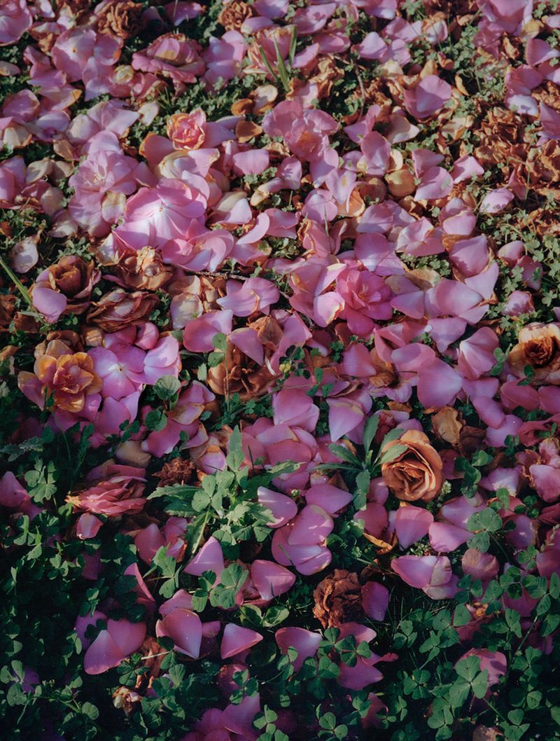 © Claudia Amatruda - Image from the “When you hear hoofbeats think of horses, not zebras” photography project