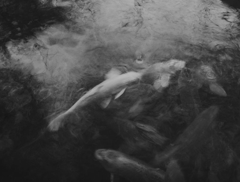 © Lieh Sugai - Image from the KAIKOU photography project