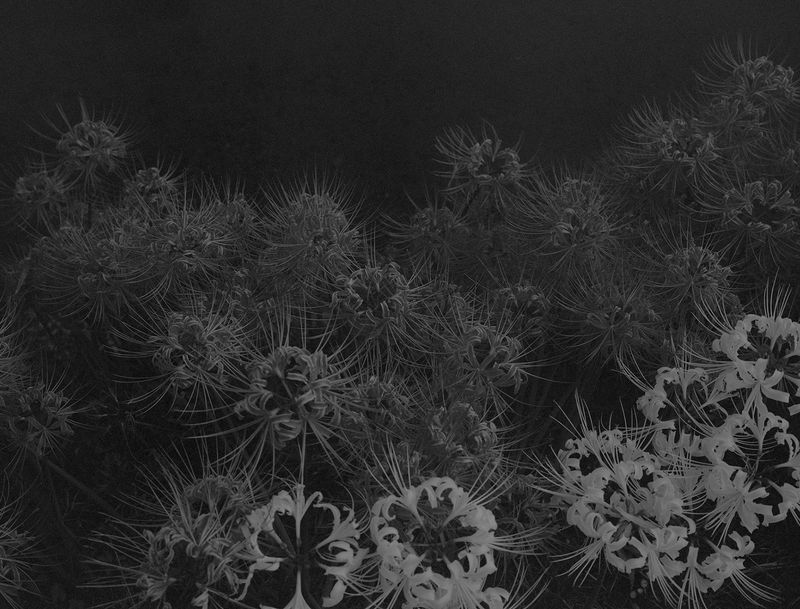 © Lieh Sugai - Image from the KAIKOU photography project