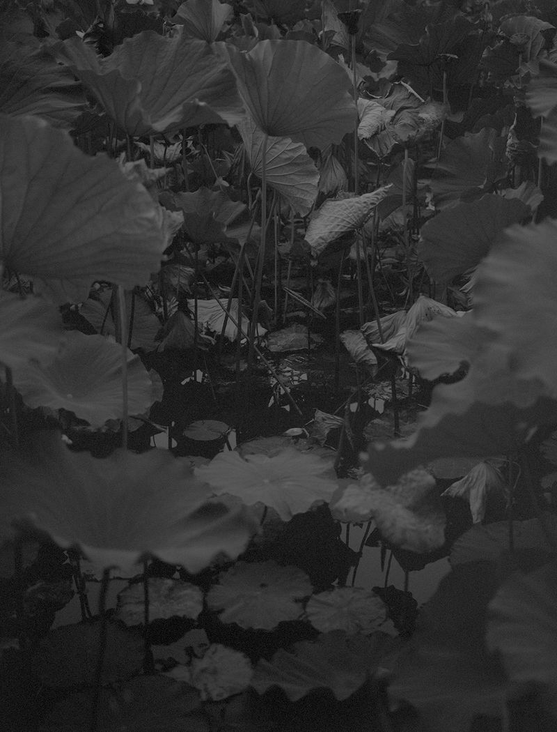 © Lieh Sugai - Image from the KAIKOU photography project