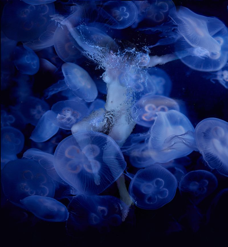 © Ricardo de Vicq - Image from the Oceanus photography project