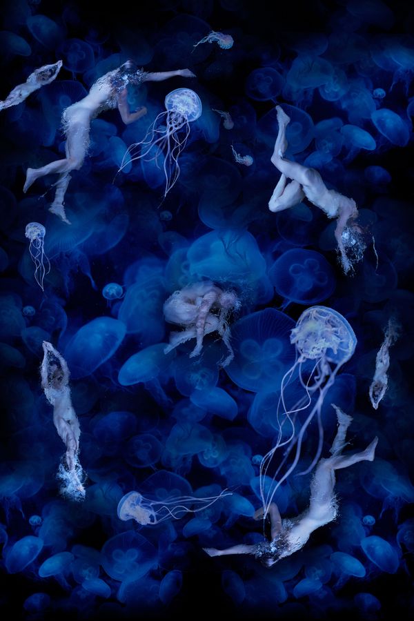 © Ricardo de Vicq - Image from the Oceanus photography project