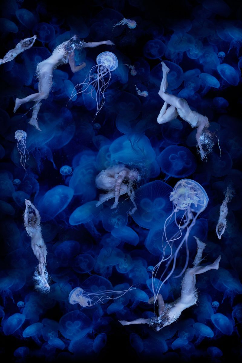 © Ricardo de Vicq - Image from the Oceanus photography project