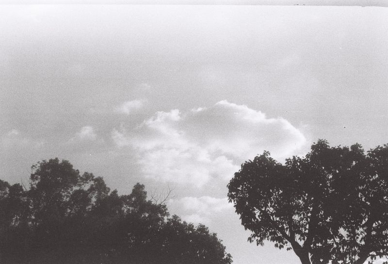 © Miiton - Image from the An attempt: Negligent LOMO photography project