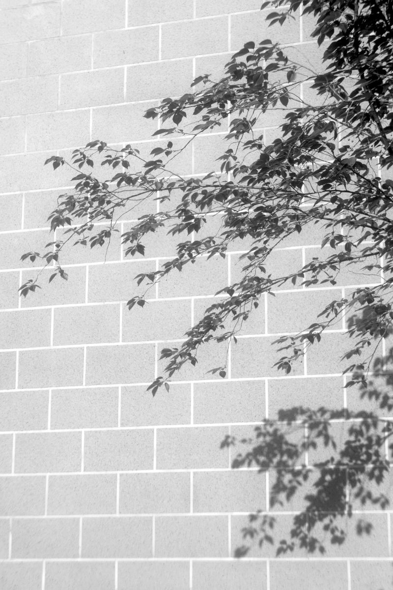 © Miiton - Image from the Shanghai 50mm f/3.5 photography project