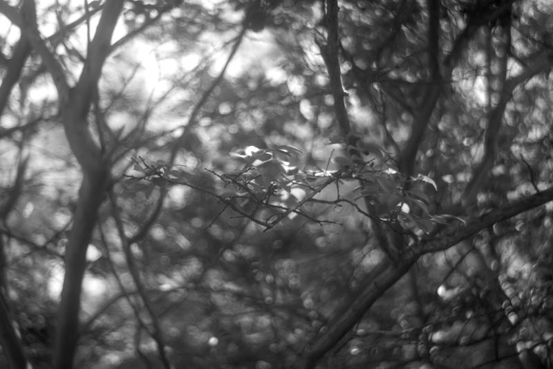 © Miiton - Image from the Shanghai 50mm f/3.5 photography project