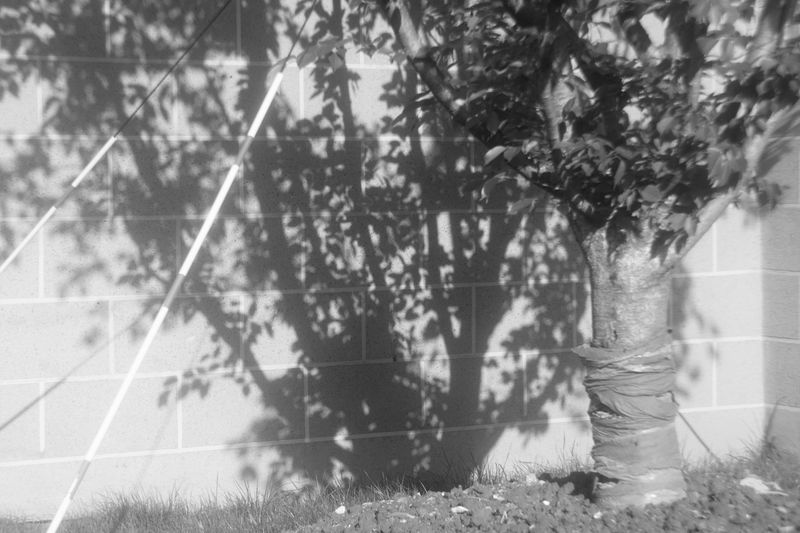 © Miiton - Image from the Shanghai 50mm f/3.5 photography project