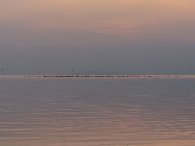 © Vadim Martynenko - Image from the Hopes and Echoes photography project