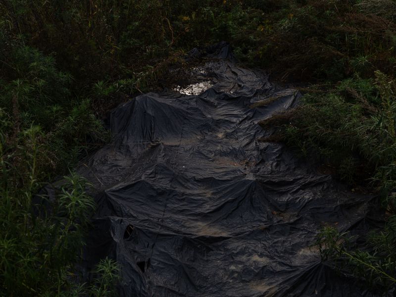 © Vadim Martynenko - Black polyethylene covering something on the ground among the bushes