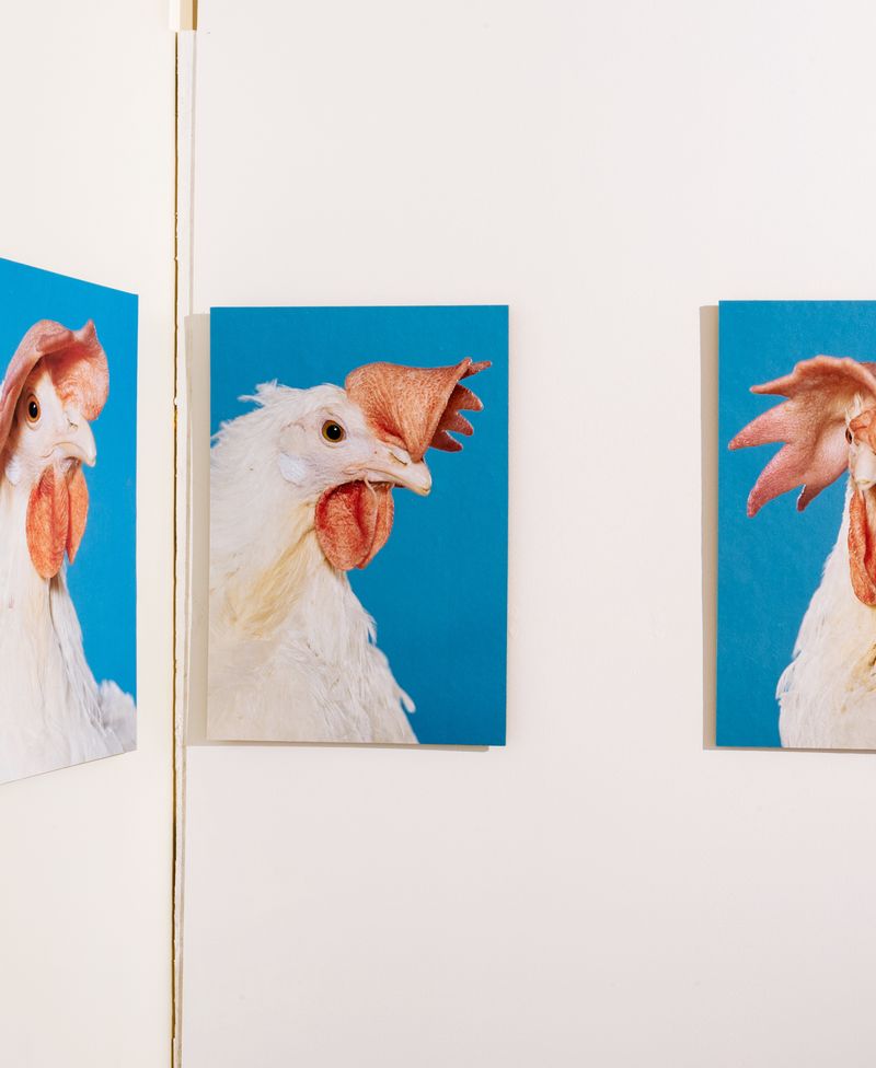 An Incomplete Guide To Ecological Thinking In Photographic Practice | Vol. 2