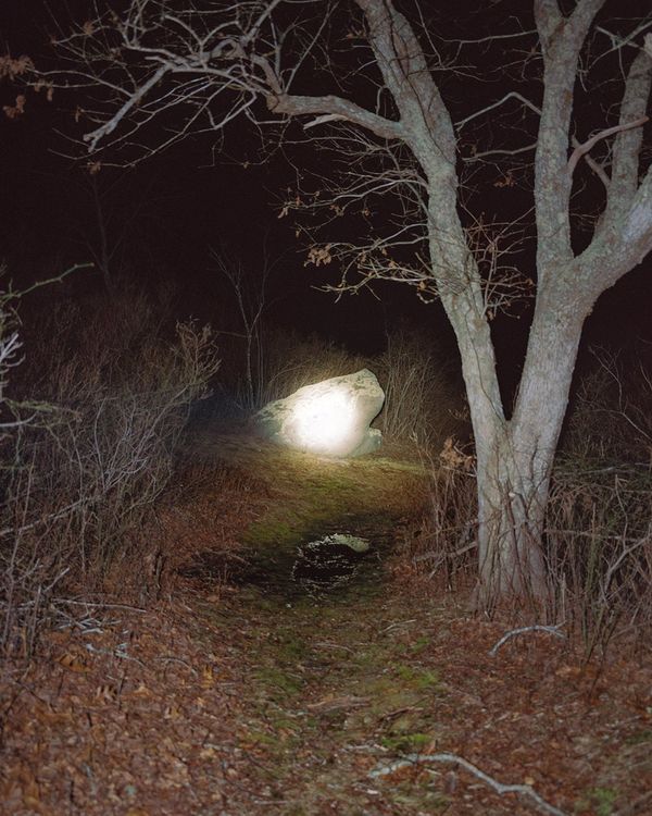 © Austin Bryant