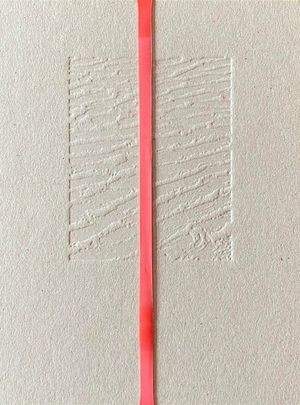 THE HOST by Mircea Sorin Albutiu