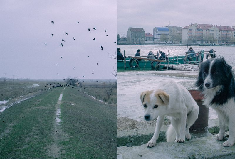 Image from a project on PhMuseum