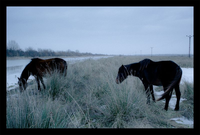 Image from a project on PhMuseum