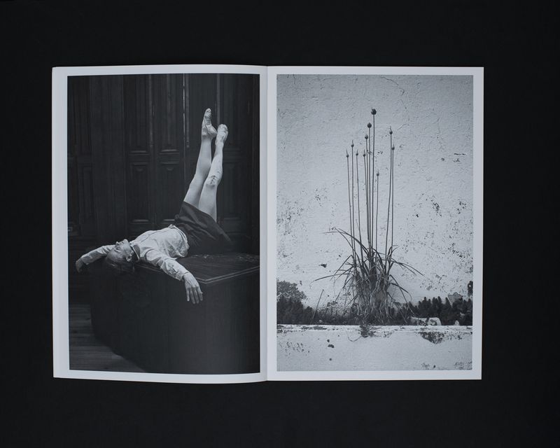 Image from a project on PhMuseum