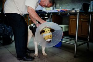 Aint' Talkin' Just Lovin'