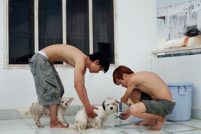 © Maika Elan - Image from the THE PINK CHOICE  photography project