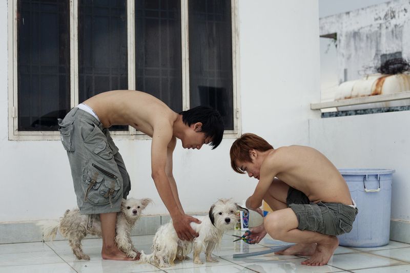 © Maika Elan - Image from the THE PINK CHOICE  photography project