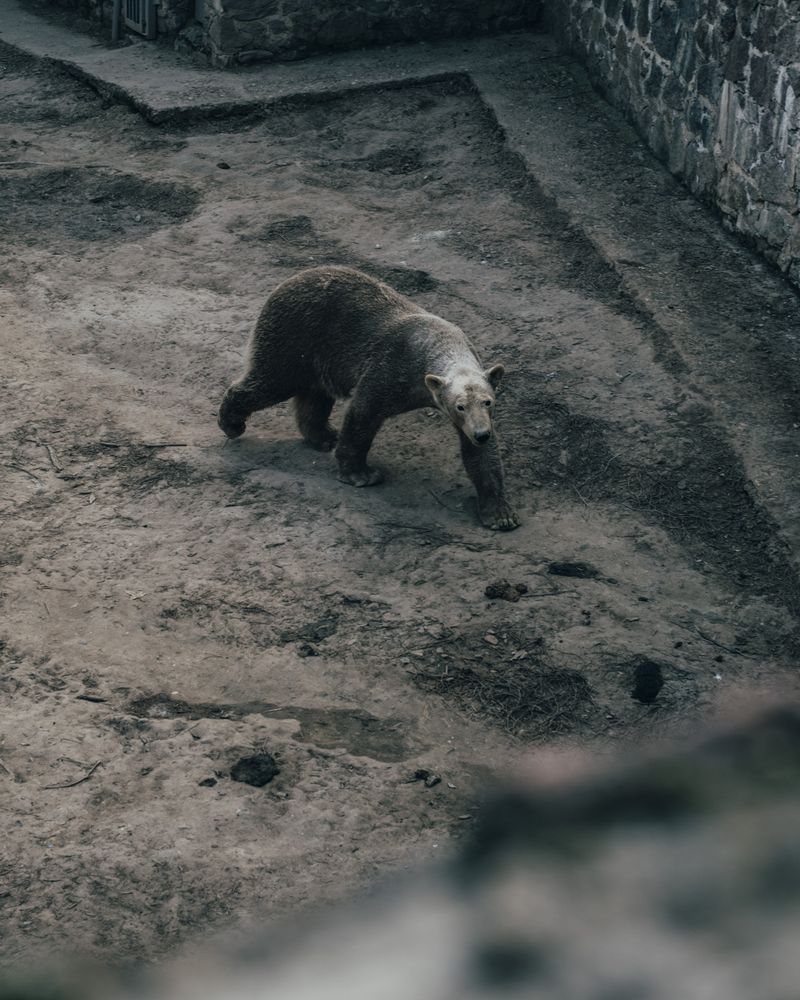 © Robin Hinsch - Image from the Lonely are all the Bridges photography project