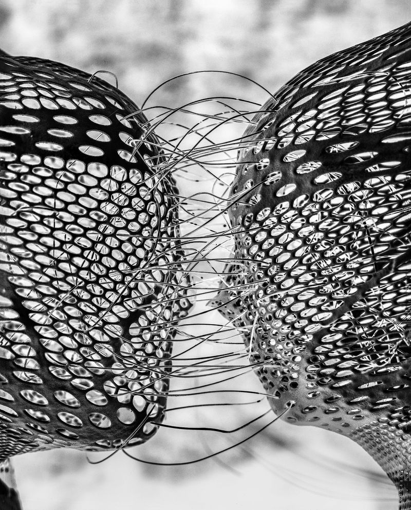 © Andrés Mario de Varona - Image from the TRIALS photography project