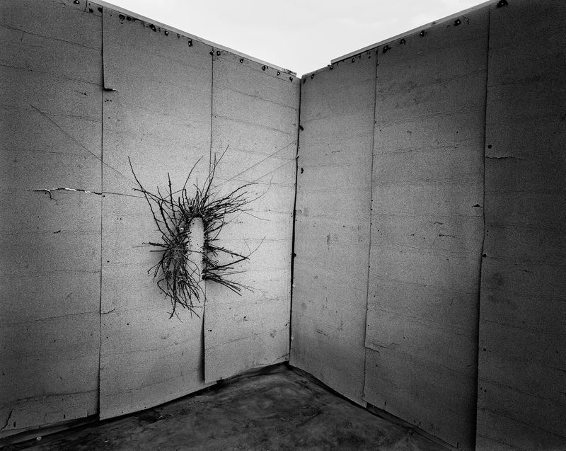 © Andrés Mario de Varona - Image from the TRIALS photography project