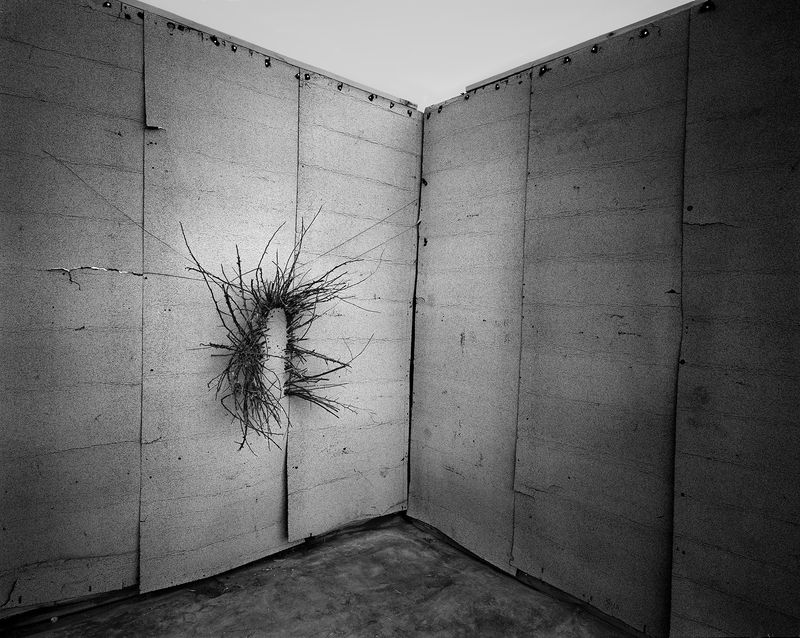 © Andrés Mario de Varona - The Gray Room