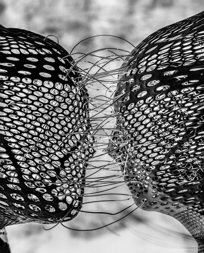 © Andrés Mario de Varona - Witnesses