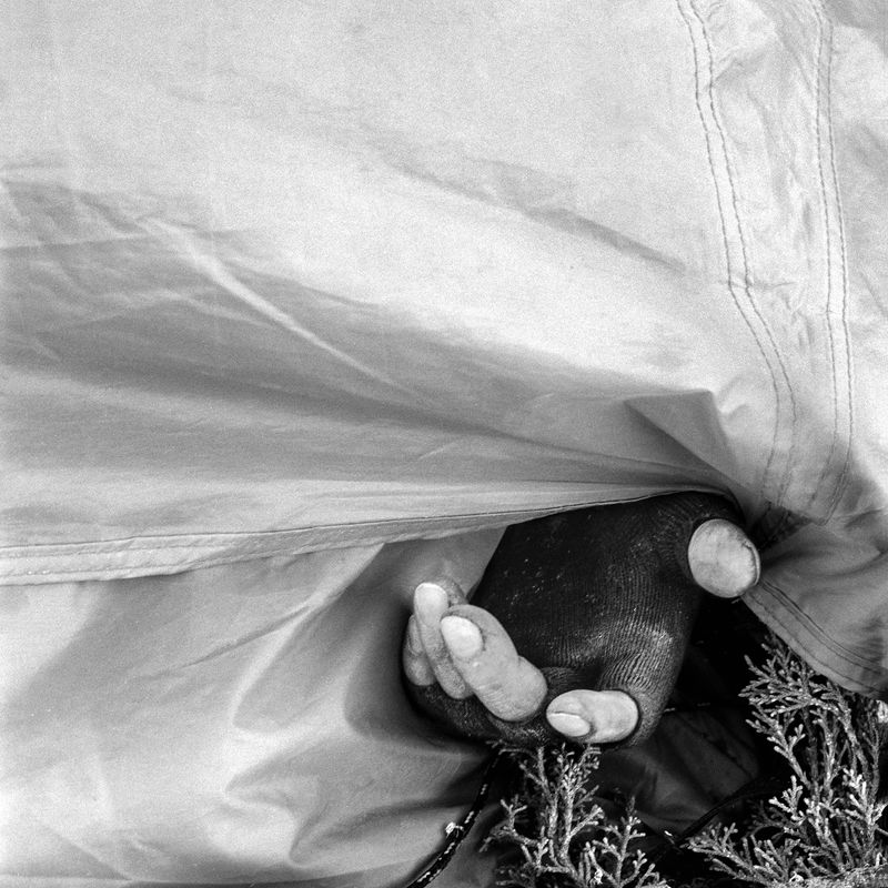 © Andrés Mario de Varona - Hand of a Veteran