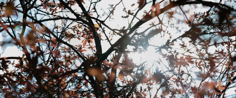 © An - Image from the The Sleeper photography project