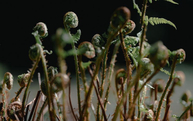 © An - Image from the The Sleeper photography project