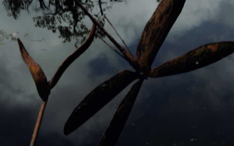 © An - Image from the The Sleeper photography project