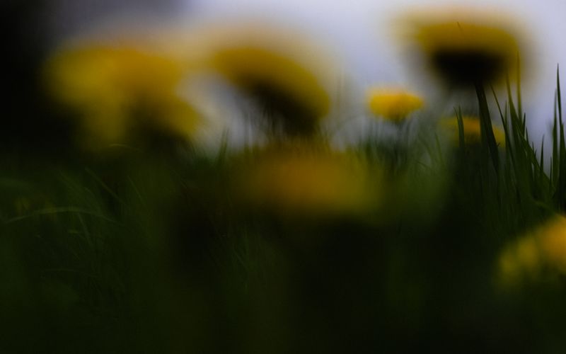 © An - Image from the The Sleeper photography project