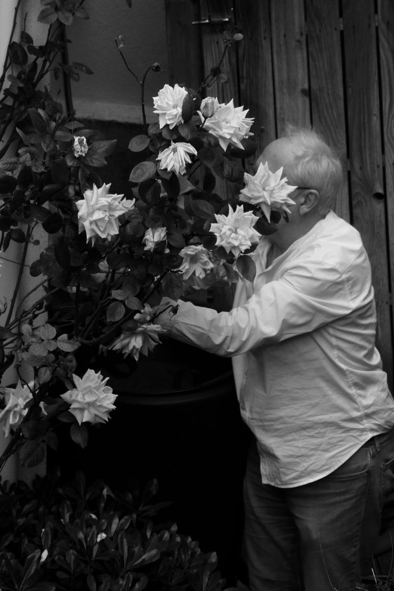 © Anna Kereszty - neighbor behind his roses