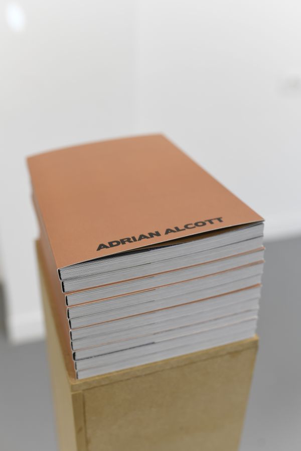 © Anna Kereszty - dummy books