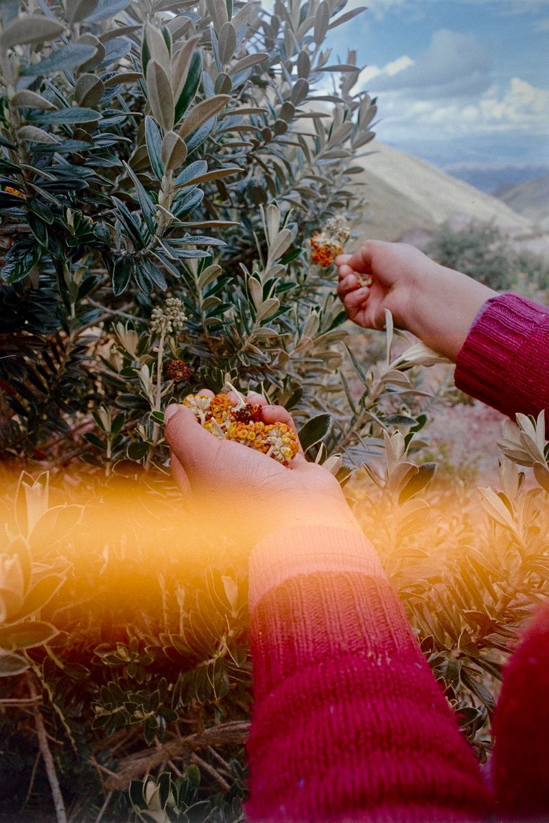 © Nicolás Garrido Huguet - Image from the Alquimia Textil photography project
