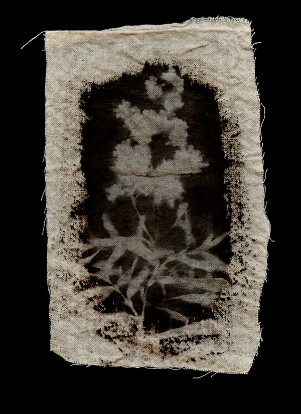 © Nicolás Garrido Huguet - Image from the Alquimia Textil photography project