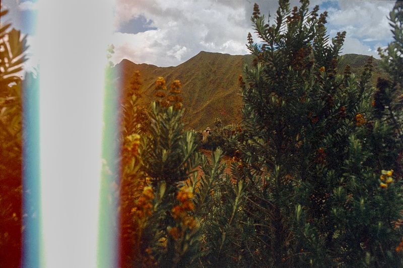 © Nicolás Garrido Huguet - Image from the Alquimia Textil photography project