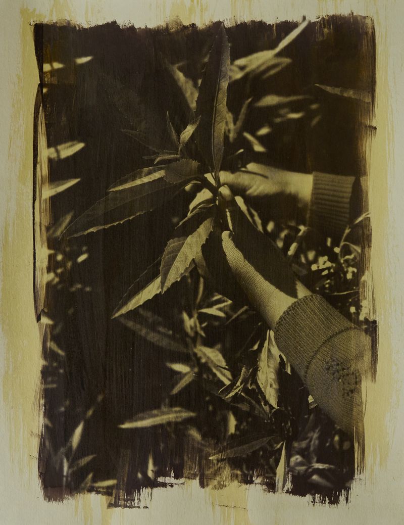 © Nicolás Garrido Huguet - Image from the Alquimia Textil photography project