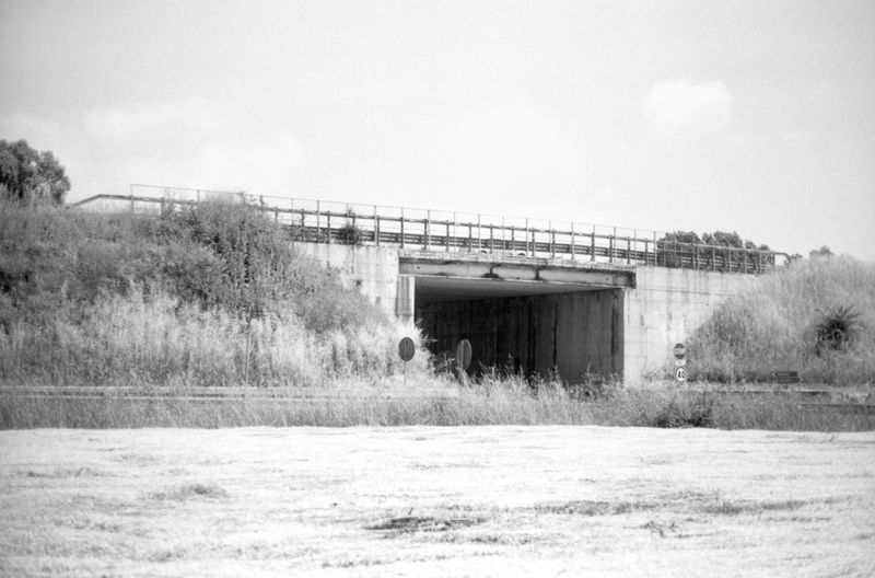 © Serena Radicioli - Highway Overpass